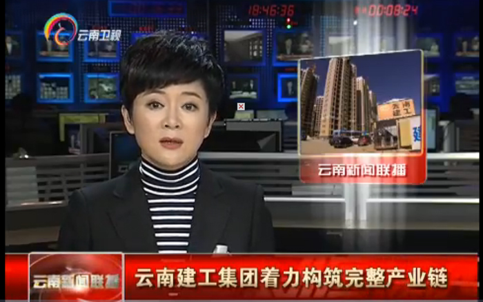 《云南新闻联播》报道总构筑完整产业链