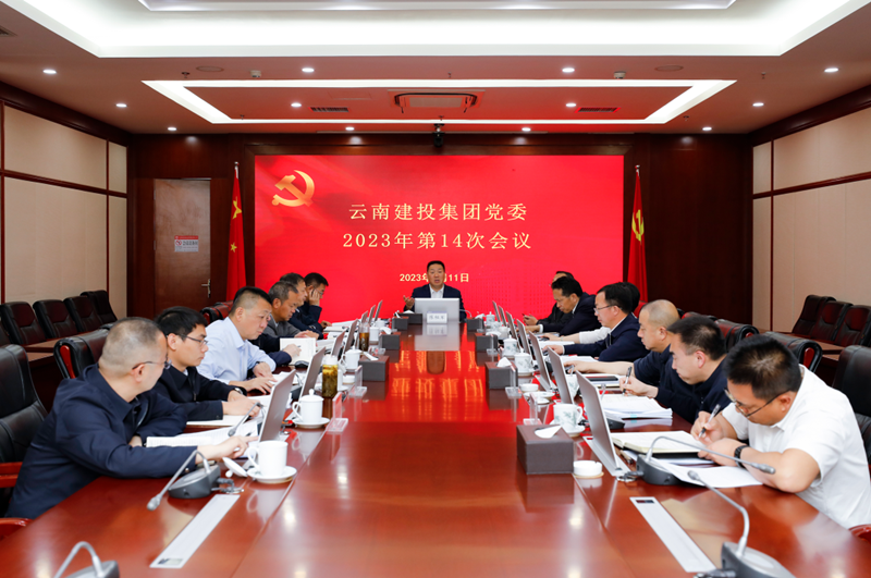 总党委会强调：深入学习贯彻习近平总书记重要讲话精神 高标准高质量开展好主题教育